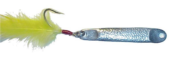 Tin Eel Squid 100